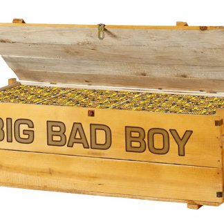Big Bad Boy