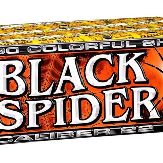 Black Spider