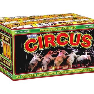 Circus